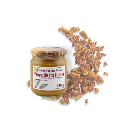 Propolis im Honig